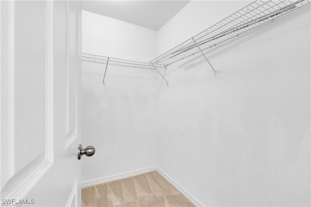 154 Shadowview Ct, Lehigh Acres, FL 33974 - spacious closet with light carpet
