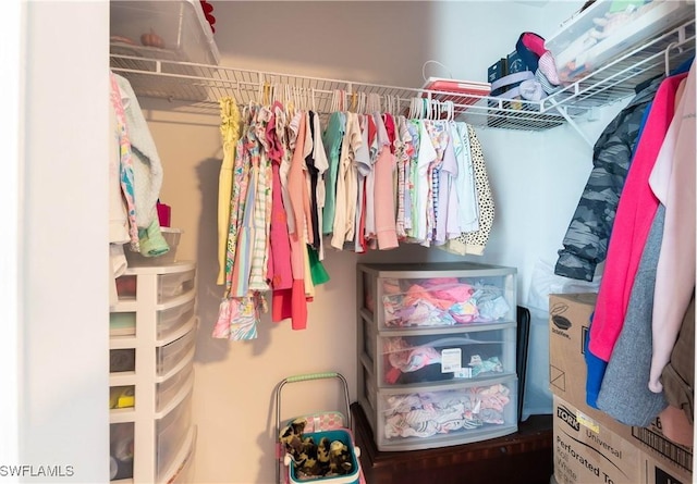14121 Roof St, Fort Myers, FL 33905 - view of spacious closet