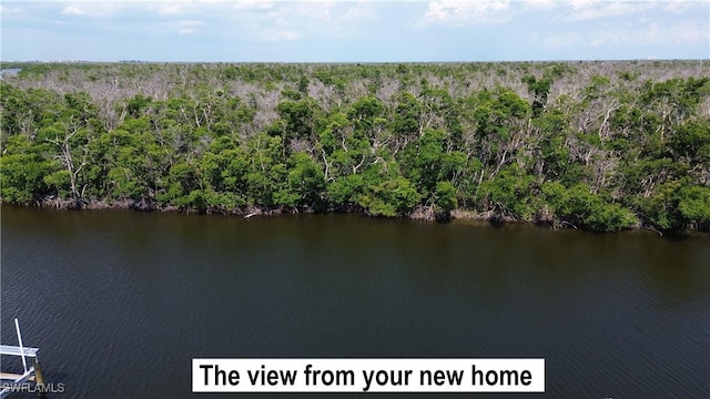 99 Blackbeard Way, Fort Myers Beach, FL 33931 - drone / aerial view of a forest and a large body of water