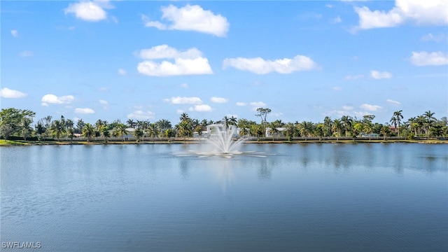 4665 Arboretum Cir Unit 101, Naples, FL 34112 - water view