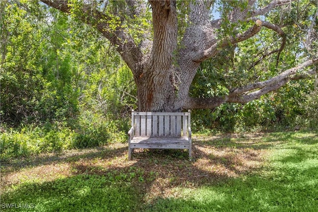 3500 Liberty St, Port Charlotte, FL 33948 - view of yard featuring a wooded view