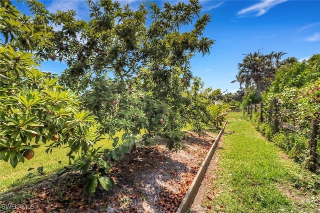 13410 Electron Dr, Fort Myers, FL 33908 - photo 31