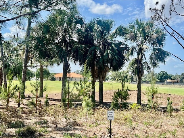 9317 Aegean Cir, Lehigh Acres, FL 33936 - view of yard