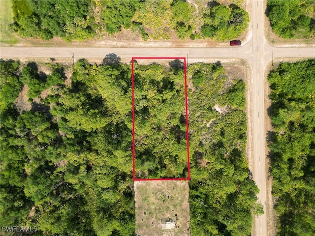 1402 Congress Ave, Lehigh Acres, FL 33972 - aerial view