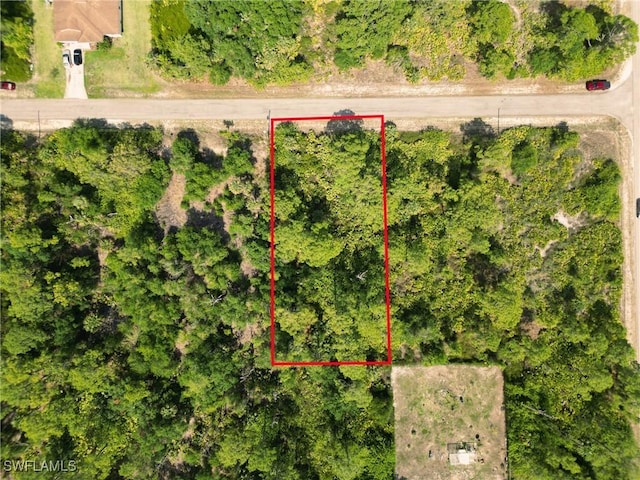 1402 Congress Ave, Lehigh Acres, FL 33972 - aerial view of property's location featuring property parcel outlined