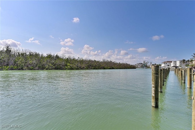 26275 Hickory Blvd Unit 26, Bonita Springs, FL 34134 - water view