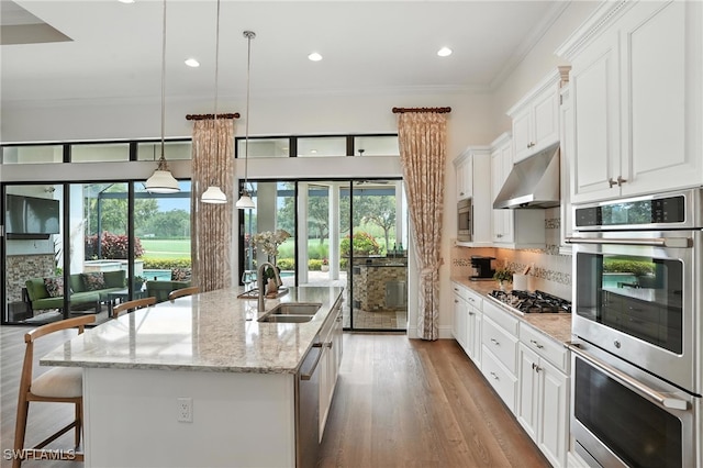 8836 Savona Ct, Naples, FL 34119 - kitchen featuring under cabinet range hood, stainless steel appliances, plenty of natural light, white cabinets, and recessed lighting