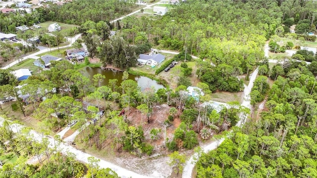 20433 Fern Cir, North Fort Myers, FL 33917 - view of property location with a forest and a nearby body of water
