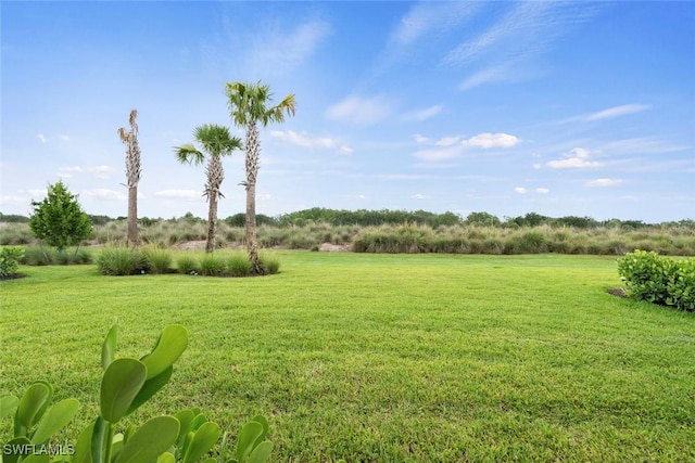 5596 Celebration Dr, Ave Maria, FL 34142 - view of green lawn