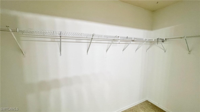 4532/4534 29th St SW, Lehigh Acres, FL 33973 - spacious closet with light colored carpet