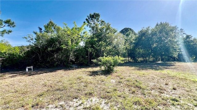 4532/4534 29th St SW, Lehigh Acres, FL 33973 - view of grassy yard