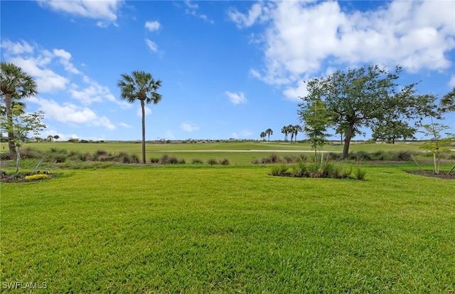 6600 Legacy Way, Ave Maria, FL 34142 - view of green lawn