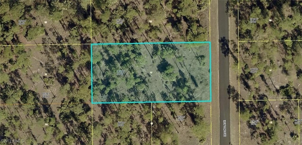 103 Irving Ave, Lehigh Acres, FL 33936