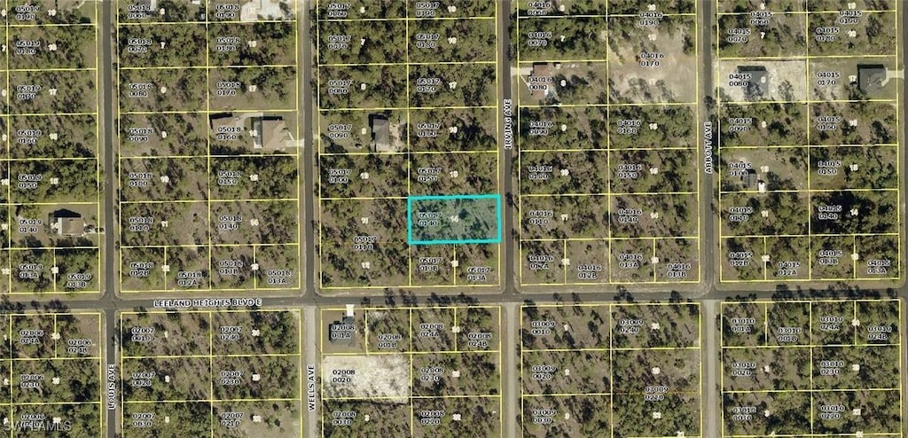 103 Irving Ave, Lehigh Acres, FL 33936