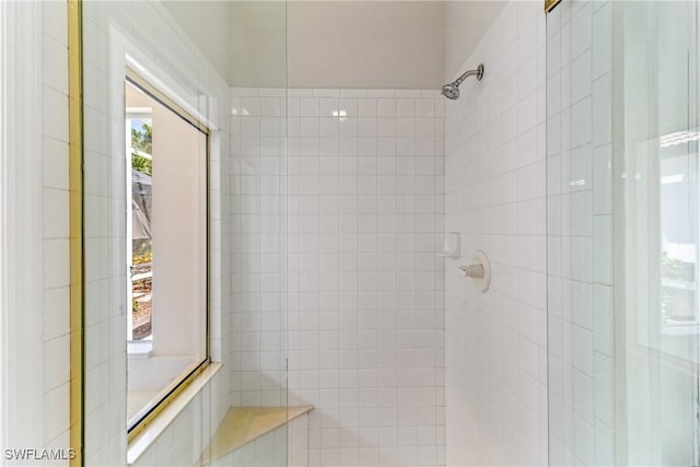3519 Heron Cove Ct, Bonita Springs, FL 34134 - bathroom featuring a tile shower