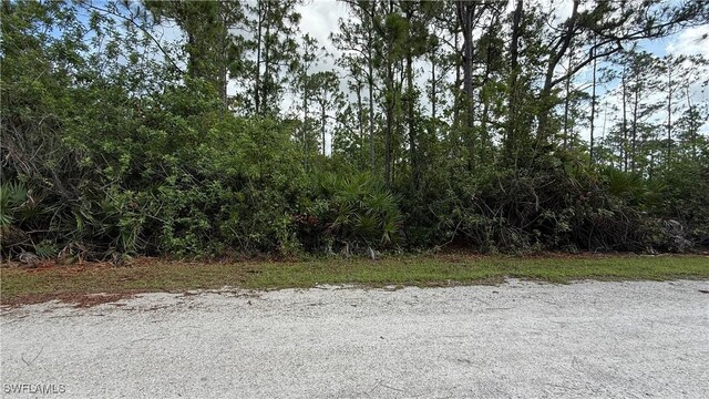 28388 Doe St, Punta Gorda, FL 33955