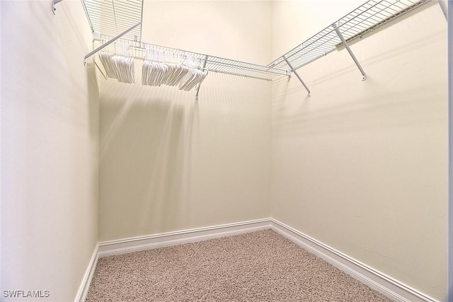 9440 Sardinia Way Unit 110, Fort Myers, FL 33908 - walk in closet featuring carpet flooring