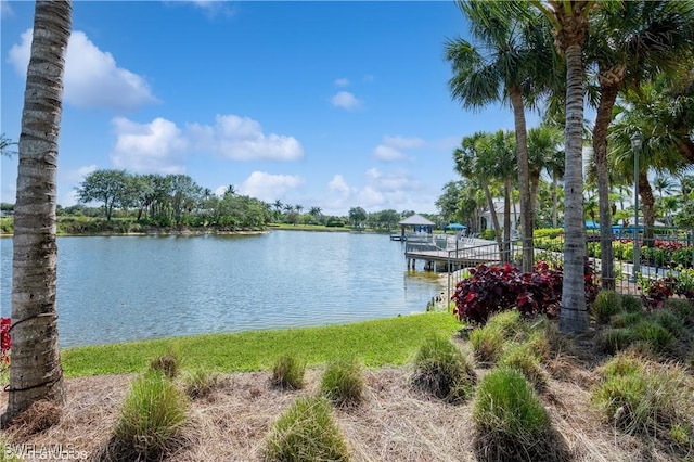 4610 Hawks Nest Dr Unit A104, Naples, FL 34114 - water view