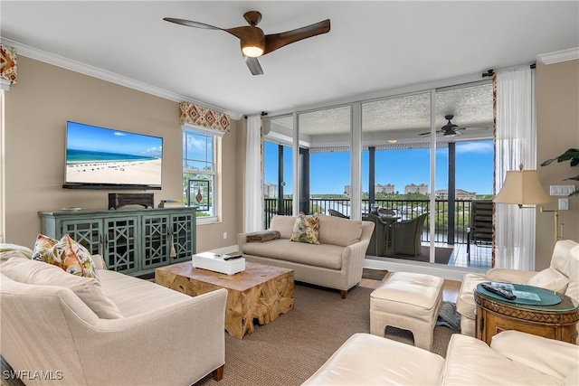 430 Cove Tower Dr Unit 501, Naples, FL 34110 - living room with ceiling fan and crown molding