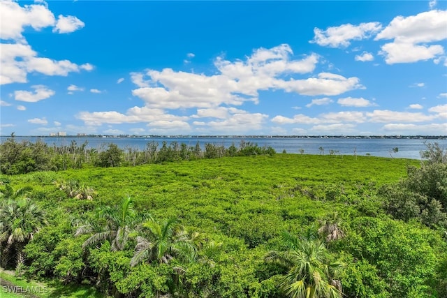 11600 Court Of Palms Unit 201, Fort Myers, FL 33908 - water view