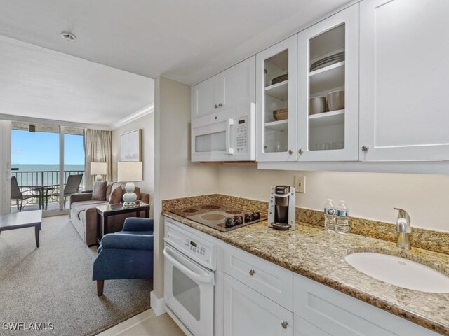 480 S Collier Blvd Unit 1008, Marco Island, FL 34145