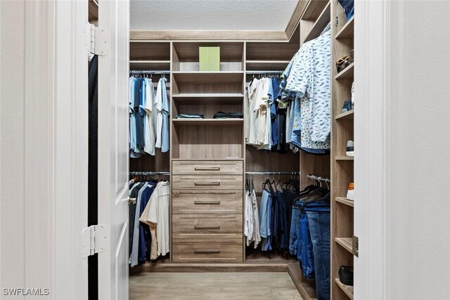 4083 Aspen Chase Dr, Naples, FL 34119 - view of spacious closet