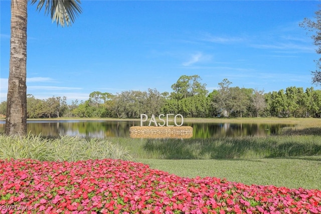 11923 Adoncia Way Unit 2802, Fort Myers, FL 33912 - water view with a forest