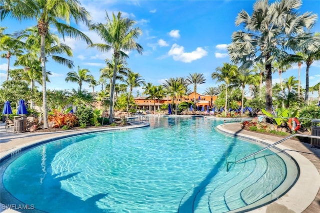 11923 Adoncia Way Unit 2802, Fort Myers, FL 33912 - view of community pool