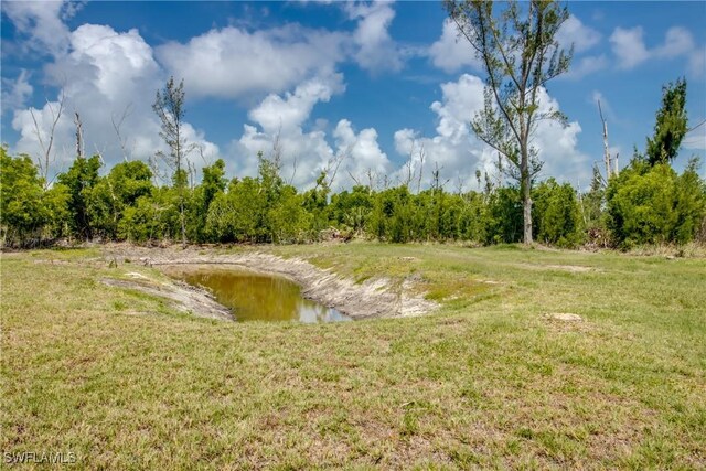 4149 Shellcrest Rd, Saint James City, FL 33956 - view of grassy yard