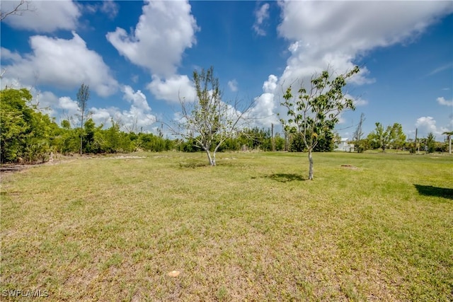 4149 Shellcrest Rd, Saint James City, FL 33956 - view of grassy yard