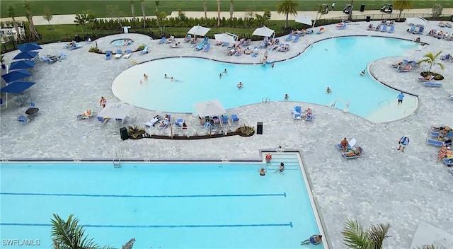 43981 Boardwalk Loop Unit 2225, Punta Gorda, FL 33982 - view of community pool