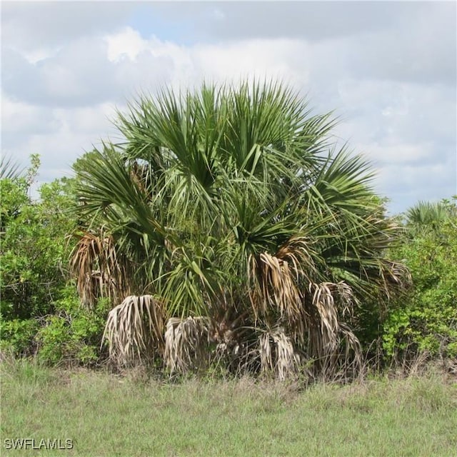 4410 Connection Ave, Cape Coral, FL 33909