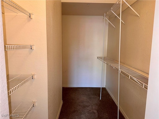6401 Aragon Way Unit 102, Fort Myers, FL 33966 - spacious closet with carpet