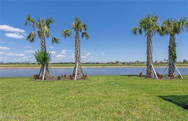 6459 Memorial Ln, Ave Maria, FL 34142 - water view