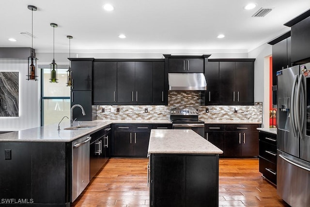 11651 Oakwood Preserve Pl, Fort Myers, FL 33913 - kitchen with appliances with stainless steel finishes, exhaust hood, a sink, dark cabinetry, and a peninsula