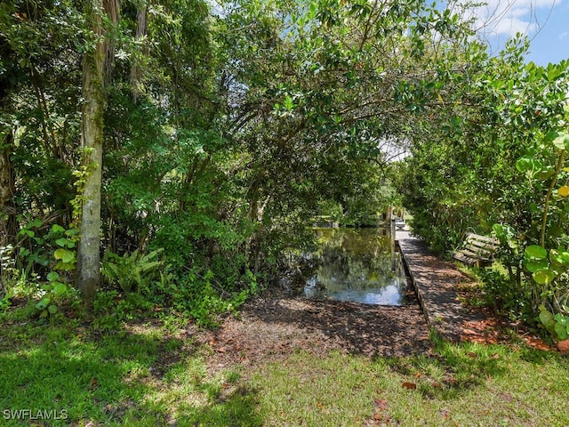 16970 Laurelin Ct, North Fort Myers, FL 33917 - view of yard