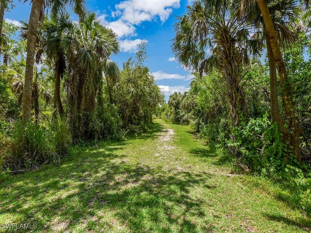 16970 Laurelin Ct, North Fort Myers, FL 33917 - view of green lawn