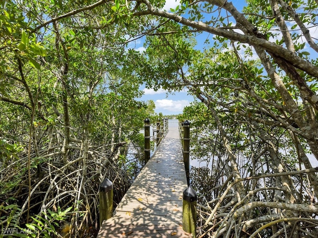 16970 Laurelin Ct, North Fort Myers, FL 33917 - view of property's community with a boat dock