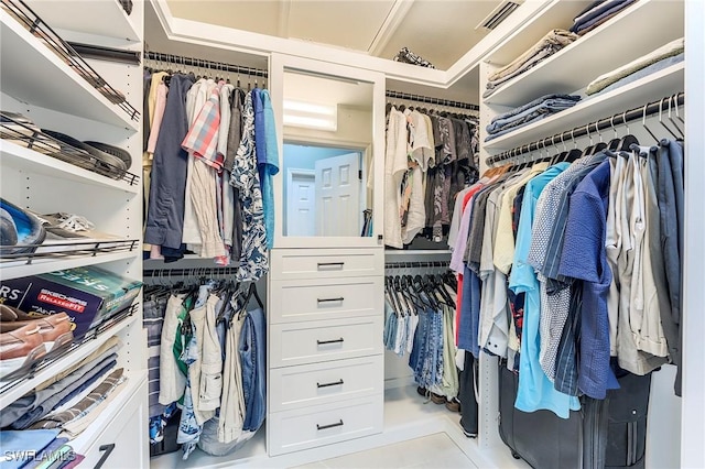 3181 Bramble Cove Ct, Fort Myers, FL 33905 - view of spacious closet