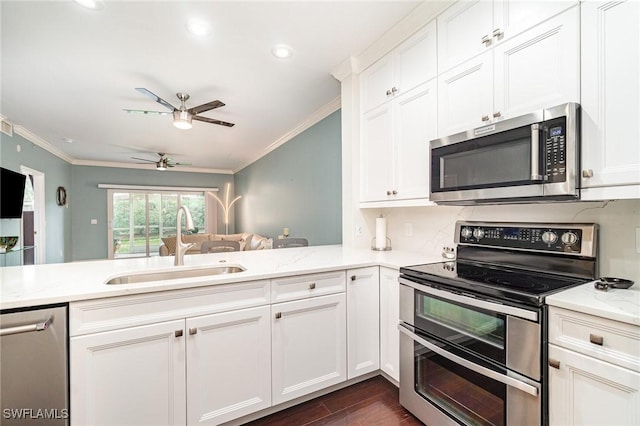 4005 Palm Tree Blvd Unit 103, Cape Coral, FL 33904 - kitchen featuring stainless steel appliances, a sink, crown molding, ceiling fan, and dark wood-style flooring