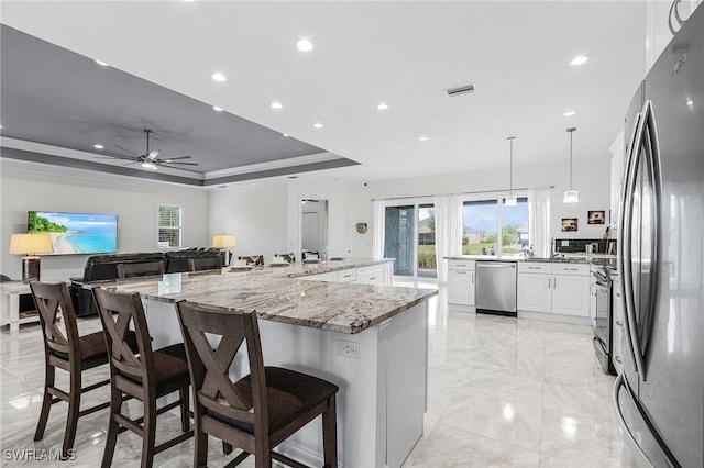 2228 SW 15th Ave, Cape Coral, FL 33991 - kitchen with stainless steel appliances, a raised ceiling, light marble finish flooring, white cabinets, and healthy amount of natural light