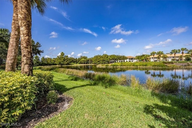 5805 Declaration Ct, Ave Maria, FL 34142 - water view