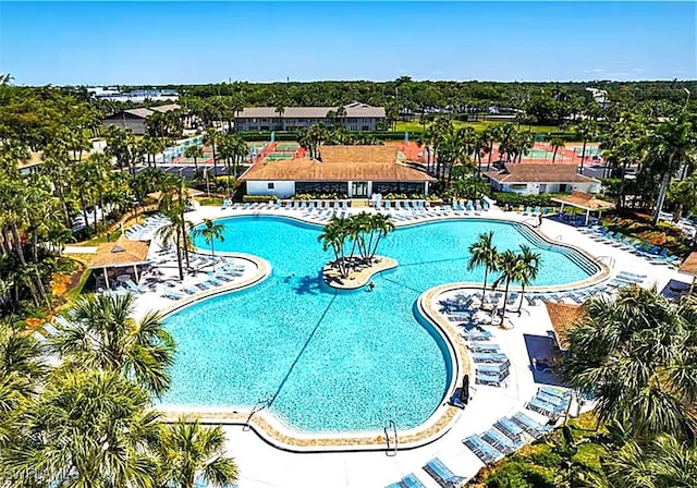 3410 Frosty Way Unit 4802, Naples, FL 34112 - view of community pool