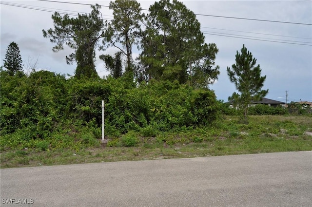 57 Curtis Ave S, Lehigh Acres, FL 33976 - photo 1