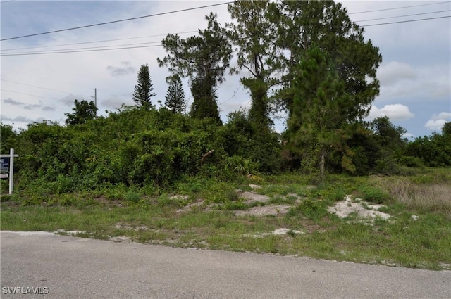 57 Curtis Ave S, Lehigh Acres, FL 33976 - photo 2