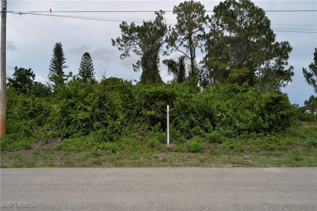 57 Curtis Ave S, Lehigh Acres, FL 33976 - photo 3