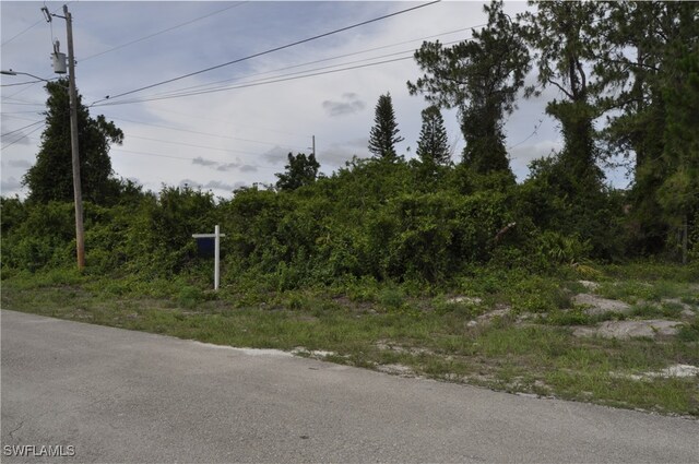57 Curtis Ave S, Lehigh Acres, FL 33976 - photo 6