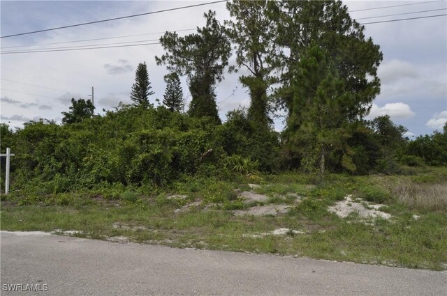 57 Curtis Ave S, Lehigh Acres, FL 33976 - photo 7