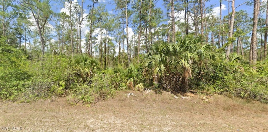 256 Lakeridge Blvd, Lehigh Acres, FL 33972