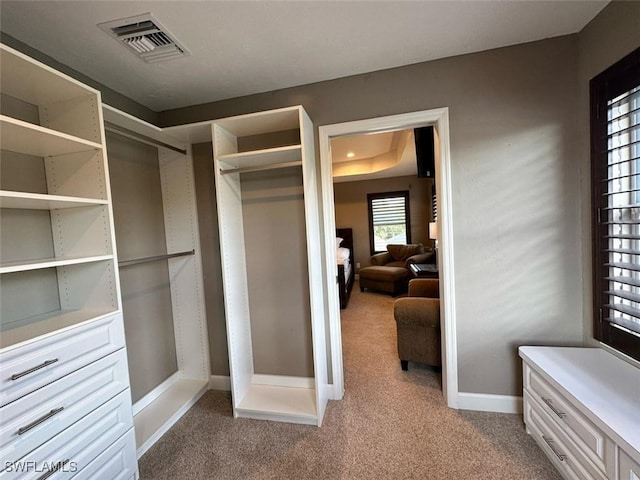 11041 Seminole Palm Way, Fort Myers, FL 33966 - spacious closet with light colored carpet